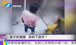 孩子打架爆料视频播放,孩子打架视频引发社会关注